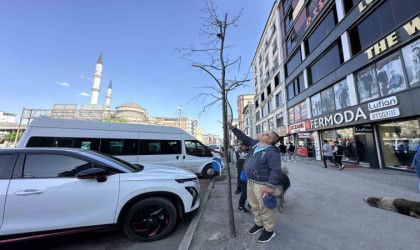 Yüksekovada ilginç görüntü: Yolun bir tarafındaki ağaçlar kurudu, diğer tarafındakiler yeşillendi