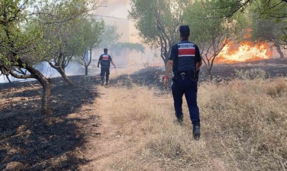 Adıyamanda örtü yangını ormanlık alana sıçradı