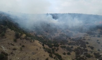 Afyonkarahisarda ot ve çalıların bulunduğu dağlık alanda yangın çıktı