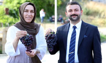 Akdeniz Belediyesinden Esenli Üzüm Şenliğine davet