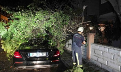 Antalya Büyükşehirden fırtınaya hızlı müdahale