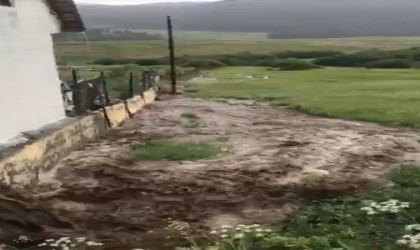 Ardahanda sağanak sele neden oldu; Evleri su bastı, tarım arazileri zarar gördü