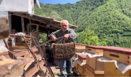 Arılar oğul verdi, babasının yeni koloni oluşturma sürecini film gibi çekti