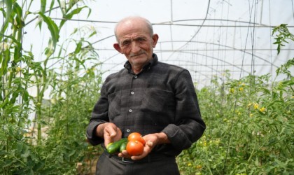 Ata tohumu memleket meselesi diyen 74 yaşındaki çiftçi ömrünü organik tarıma adadı