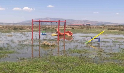 Bakımsız kalan kanallar merayı bataklığa çevirdi