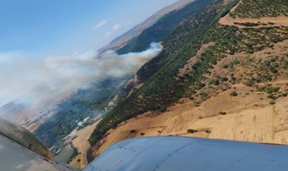 Balıkesirde orman yangını