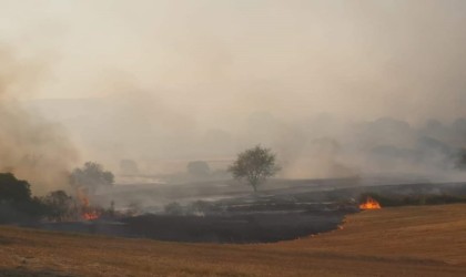 Balıkesirde orman yangını: Havadan ve karadan müdahale sürüyor