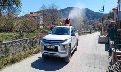 Bilecik bu yıl sinekten geçilmiyor