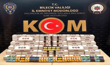 Bilecikte kaçakçılara yönelik operasyonda 1 şüpheli yakalandı