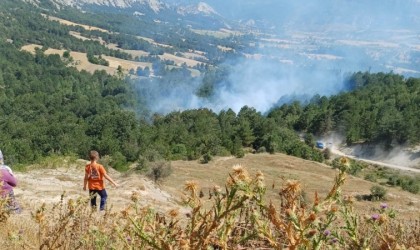 Bilecikte son 2 günde 3üncü orman yangını