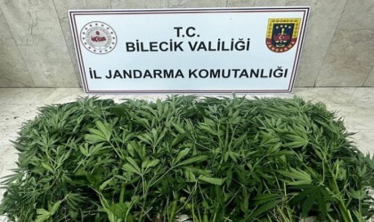 Bilecikte uyuşturucu operasyonu: 2 şüpheli tutuklandı