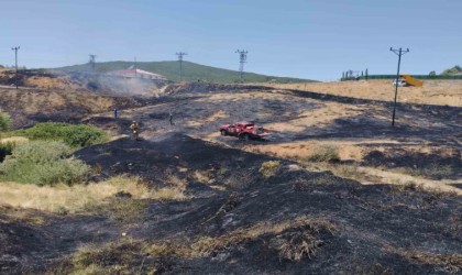 Bingölde çıkan orman yangını büyümeden söndürüldü