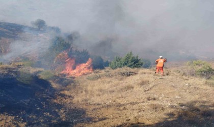 Bingölde çıkan orman yangını söndürüldü