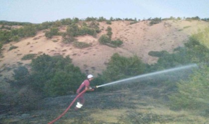 Bingölde orman yangını büyümeden söndürüldü