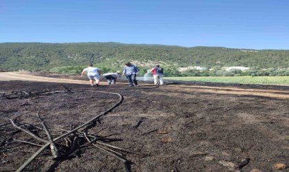 Boluda otluk arazide çıkan yangın söndürüldü