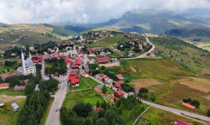 Çambaşı Yaylası yeniden doğdu