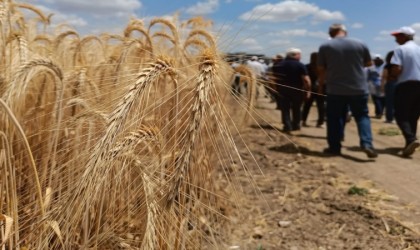 Çeşidin doğru verimin bol olsun projesi gerçekleşti