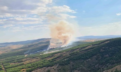 Çivrildeki yangında 8 hektar alan zarar gördü