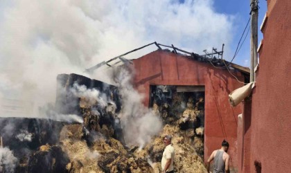 Depoda çıkan yangında bin adet saman balyası küle döndü