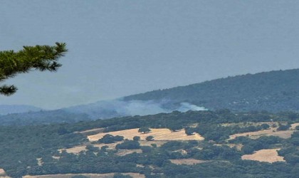 Dursunbeyde arazide çıkan yangın ormana sıçradı