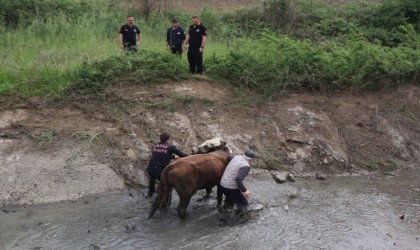 Düzce itfaiyesi 857 olaya müdahale etti