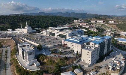 Düzce Üniversitesi Hastanesi, Bölgenin Şifa Kaynağı