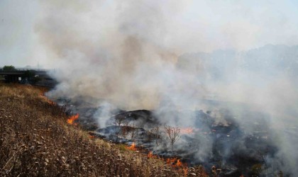 Edirnede anız yangını mahalleliye büyük korku yaşattı