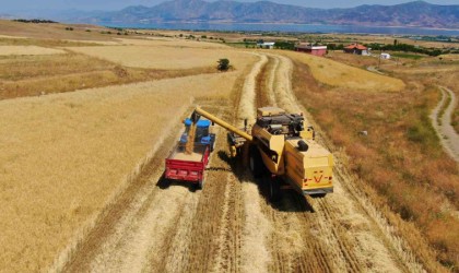 Elazığda 900 bin dekar alanda hasat yapılması bekleniyor