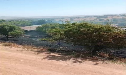 Elazığda korkutan yangın: Alevler evlere sıçramadan söndürüldü