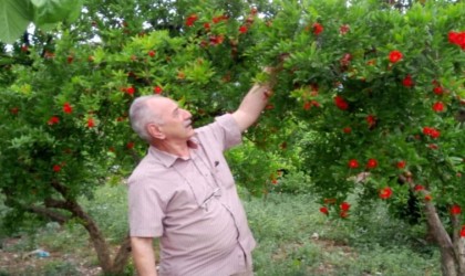 Emekli polis memuru tatil için geldiği Antalyada boğularak hayatını kaybetti