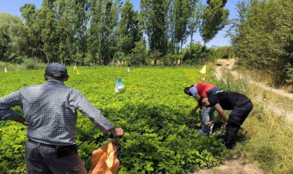 Emette üreticiler patates zararlıları ve gübreleme konularında bilgilendirildi