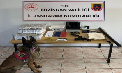 Erzincan jandarma suç olaylarına geçit vermiyor