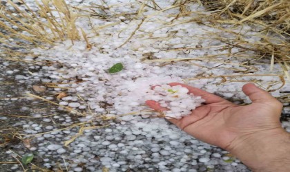 Erzincanın Tercan ilçesinde dolu etkili oldu