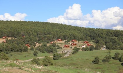 Erzincanın yeşil cenneti: Dumanlı Tabiat Parkı