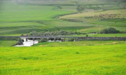 Erzurum mera ve çayır zengini