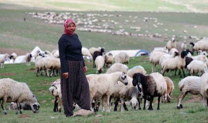 Erzurumda 3 bin rakımda 3 yüz çadır kurulu