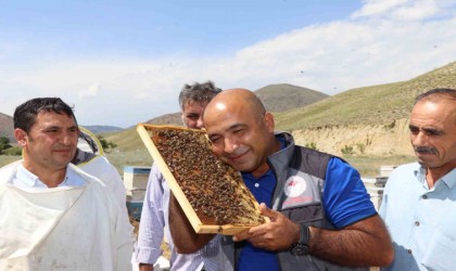 Erzurumda arıcılara ana arı üretimi öğretildi