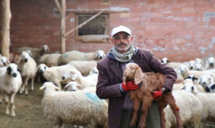 Fenomen muhtar adayının davasında şüphelilerin ifadeleri ortaya çıktı