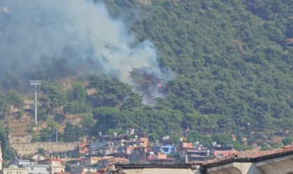 Habibi Neccar Dağında çıkan orman yangını söndürüldü