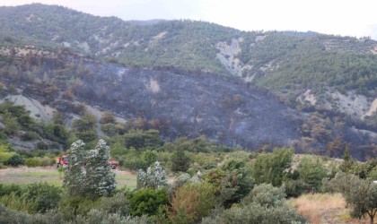 Havadan ve karadan müdahaleyle kontrol altına alınan yangında yaşananları muhtar anlattı