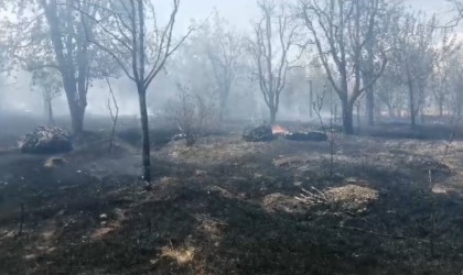 Ispartada meyve bahçesinde çıkan yangında ağaçlar ve samanlar kül oldu