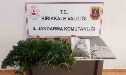 Jandarmadan kaçak kazı ve uyuşturucu operasyonu: 1 gözaltı