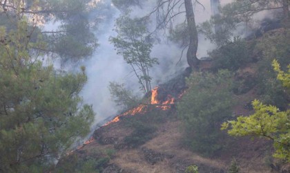 Kahramanmaraşta orman yangınına müdahale sürüyor