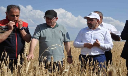 Karsta yüzde 50 hibeyle dağıtılan tohumlar tarlalara ekildi