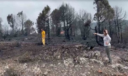 Kepsutta çıkan yangının ilerlemesi durdu, soğutma çalışmaları başlıyor