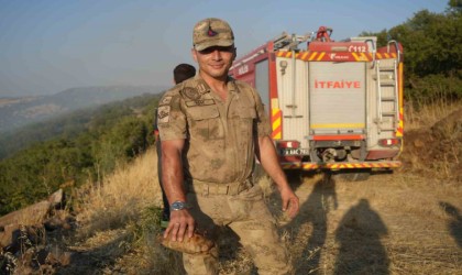 Kiliste yangın ortasında kalan kaplumbağayı jandarma kurtardı