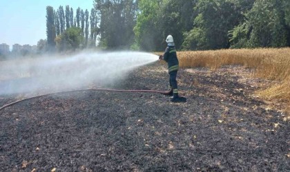 Kopan elektrik kablosu 1 buçuk dönüm buğday tarlasını küle çevirdi