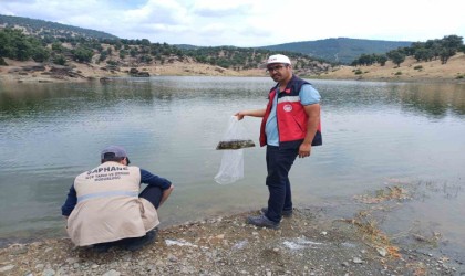 Kütahyada 5 milyon 423 bin 150 adet balık iç su kaynaklarına bırakıldı