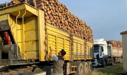 Kütahyada orman emvali yüklü araçlarda Mobil Denetim