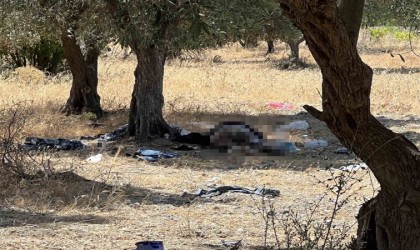 Manisada 15 yıldır zeytinlikte yaşayan şahıs ölü bulundu